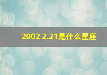 2002 2.21是什么星座